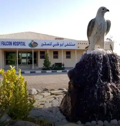 Falcon Hospital Tour