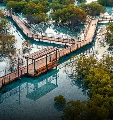 Jubail Mangrove Park